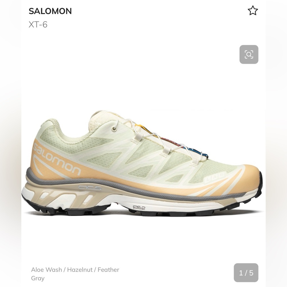 Salomon XT-6 in Aloe Wash and Hazelnut, women’s 9